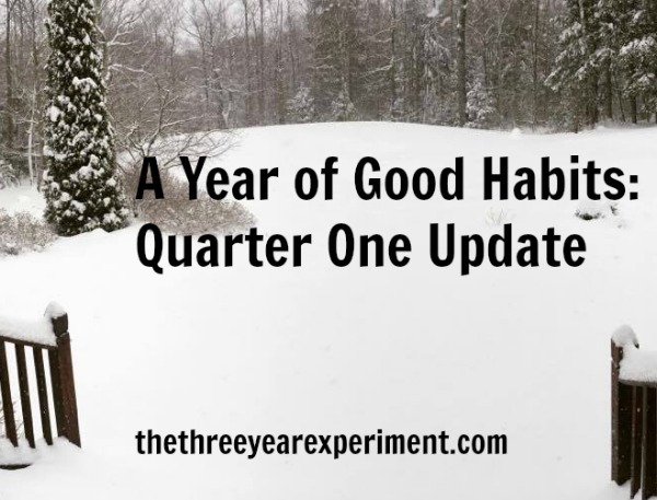 Quarter One Update--www.thethreeyearexperiment.com