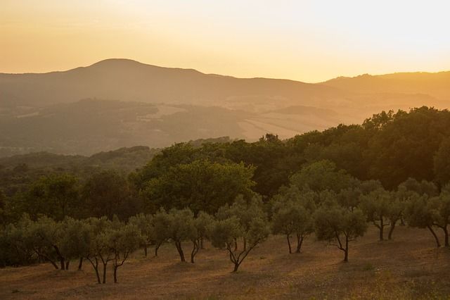 landscape California