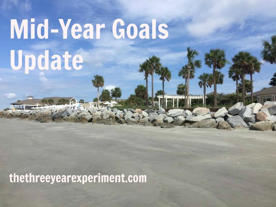 Mid-Year Goals Update--www.thethreeyearexperiment.com