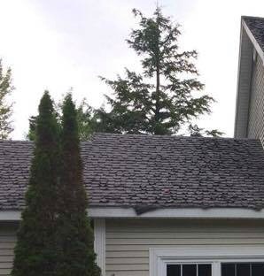 Failing shingles--www.thethreeyearexperiment.com