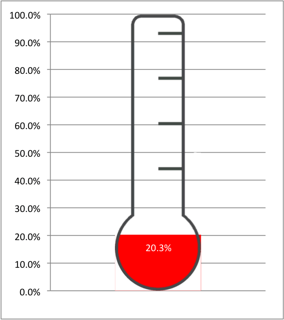 July Net Worth--www.thethreeyearexperiment.com