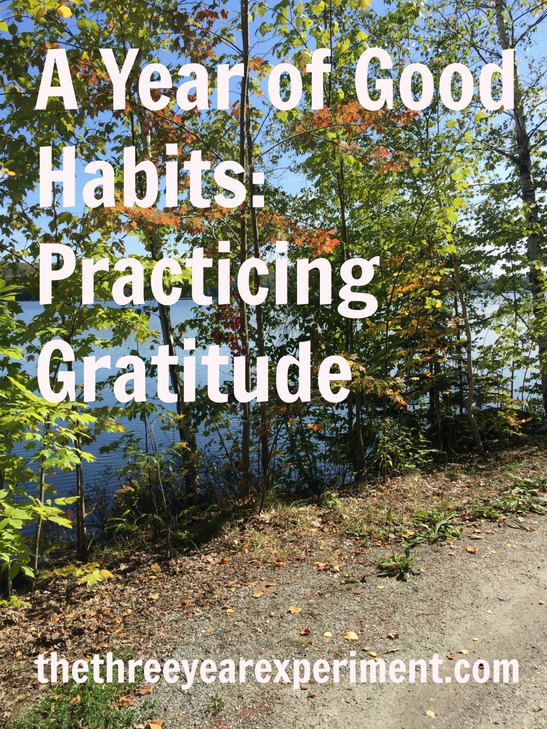 Practicing Gratitude--www.thethreeyearexperiment.com