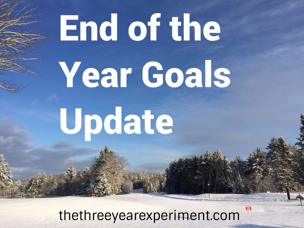 End of the Year Goals Update--www.thethreeyearexperiment.com